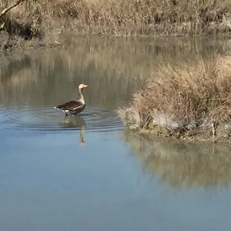 Séjour à la ferme Riva Mondina *