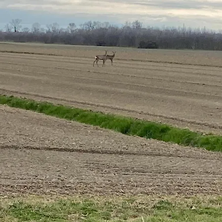 Riva Mondina Séjour à la ferme Fossalon di Grado
